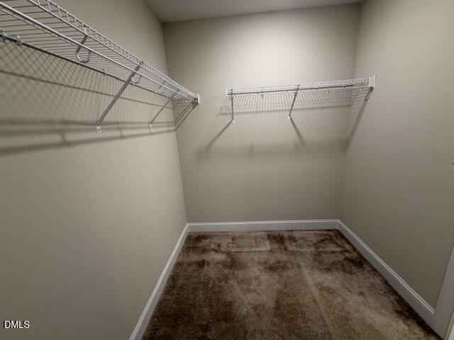 53 Hidden Grove Court Property Photo 14
