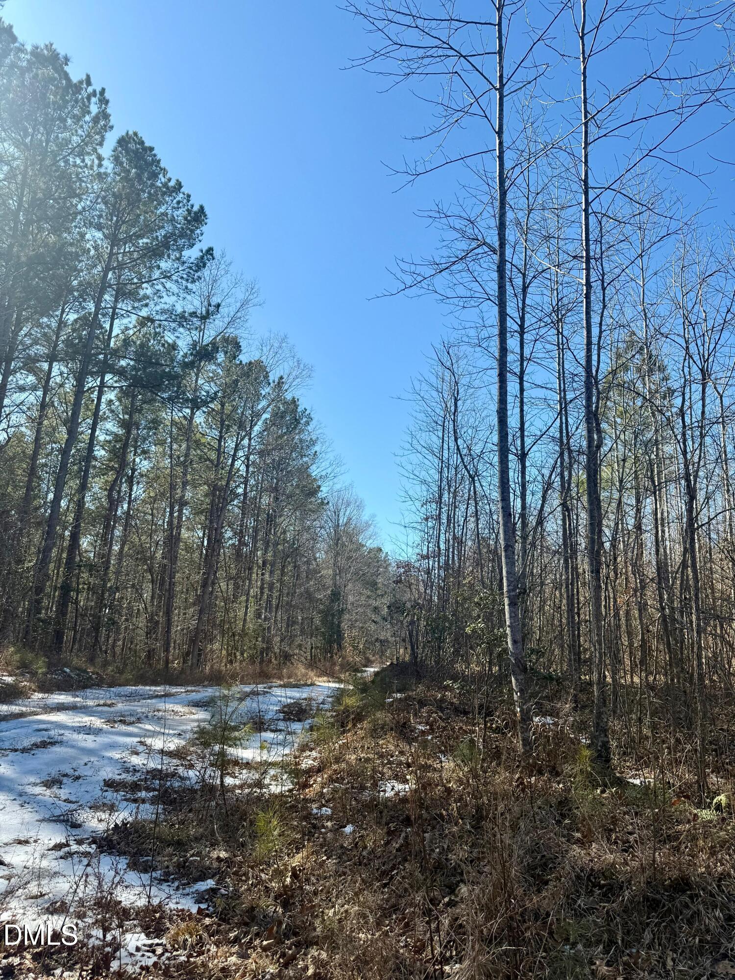 0 Warren Woods Street Property Photo 1