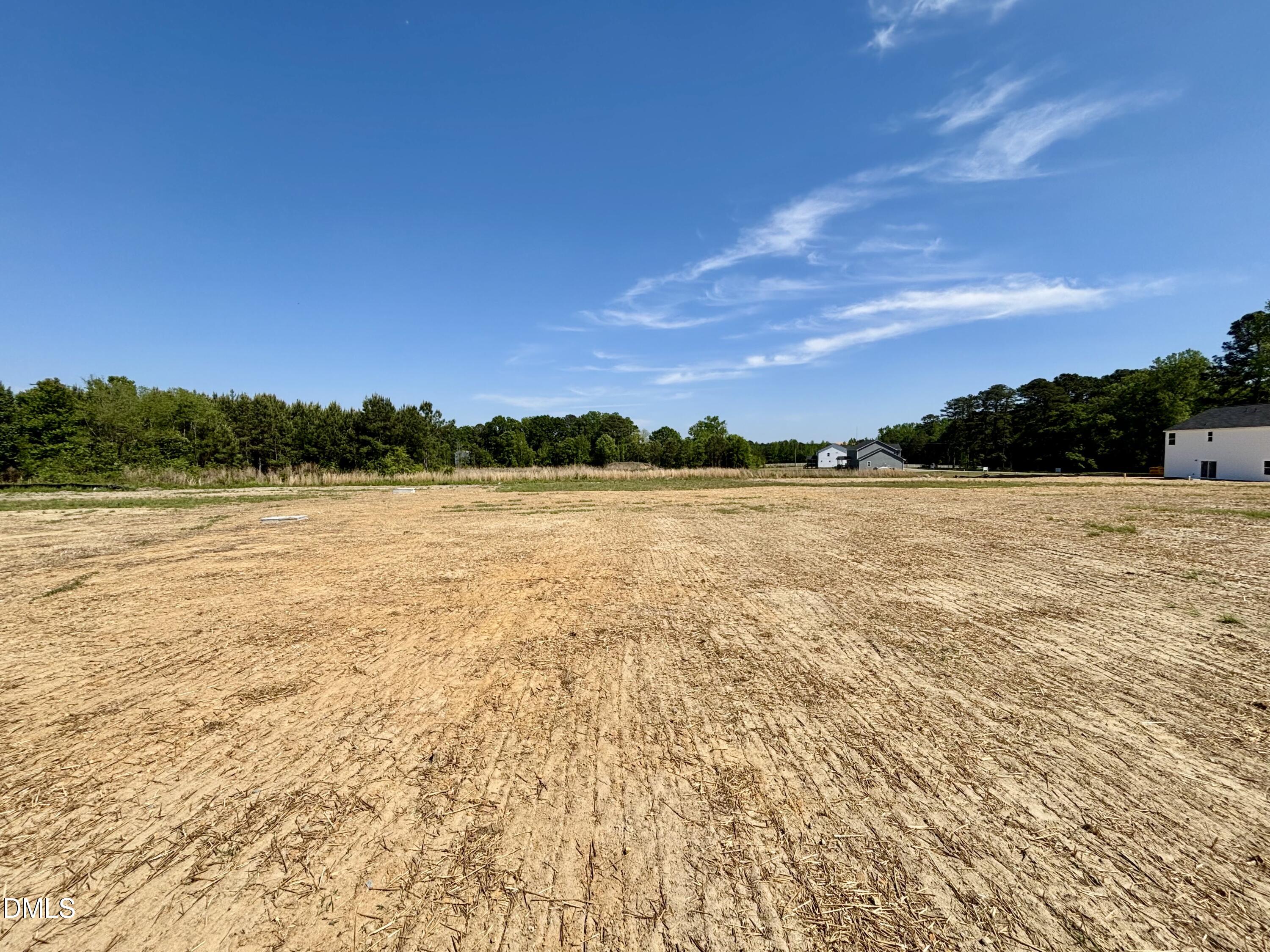 166 Shiloh Woods Circle Property Photo 36