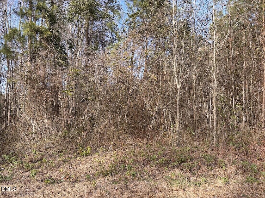 0 Watson Grave Yard Road Property Photo 3