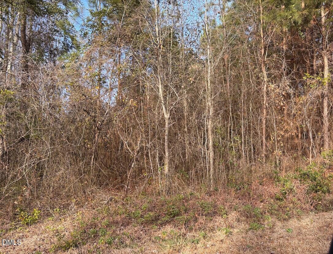 0 Watson Grave Yard Road Property Photo 5
