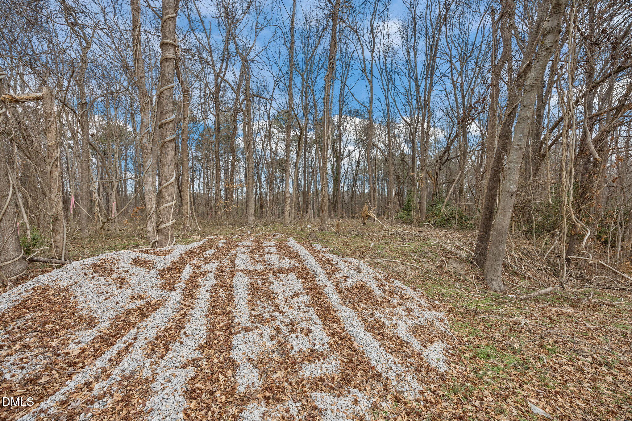 0 W. Chavis Road Property Photo 3
