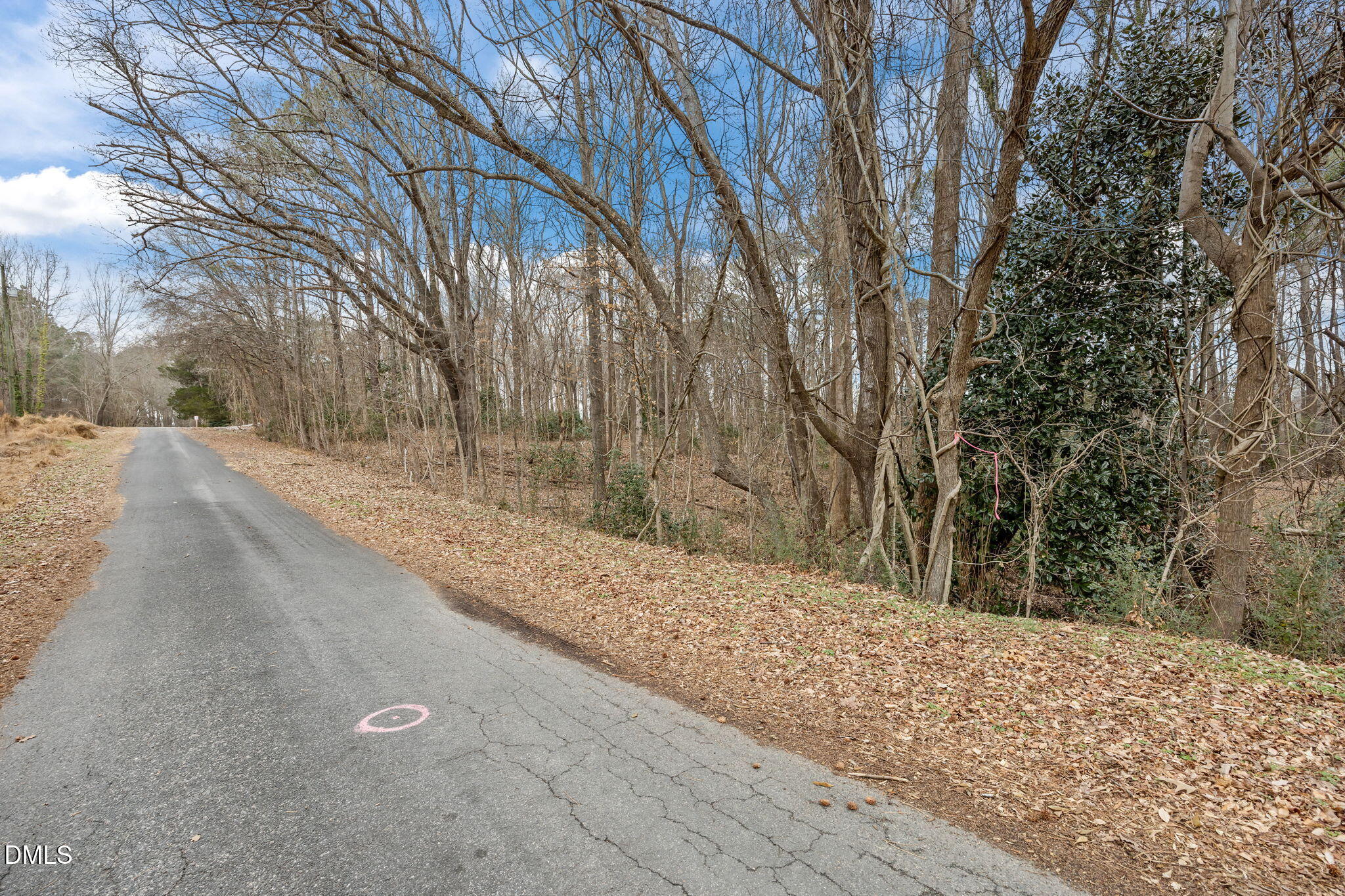 0 W. Chavis Road Property Photo 17