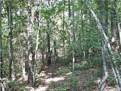 4921 N Nc 42 Property Photo 14