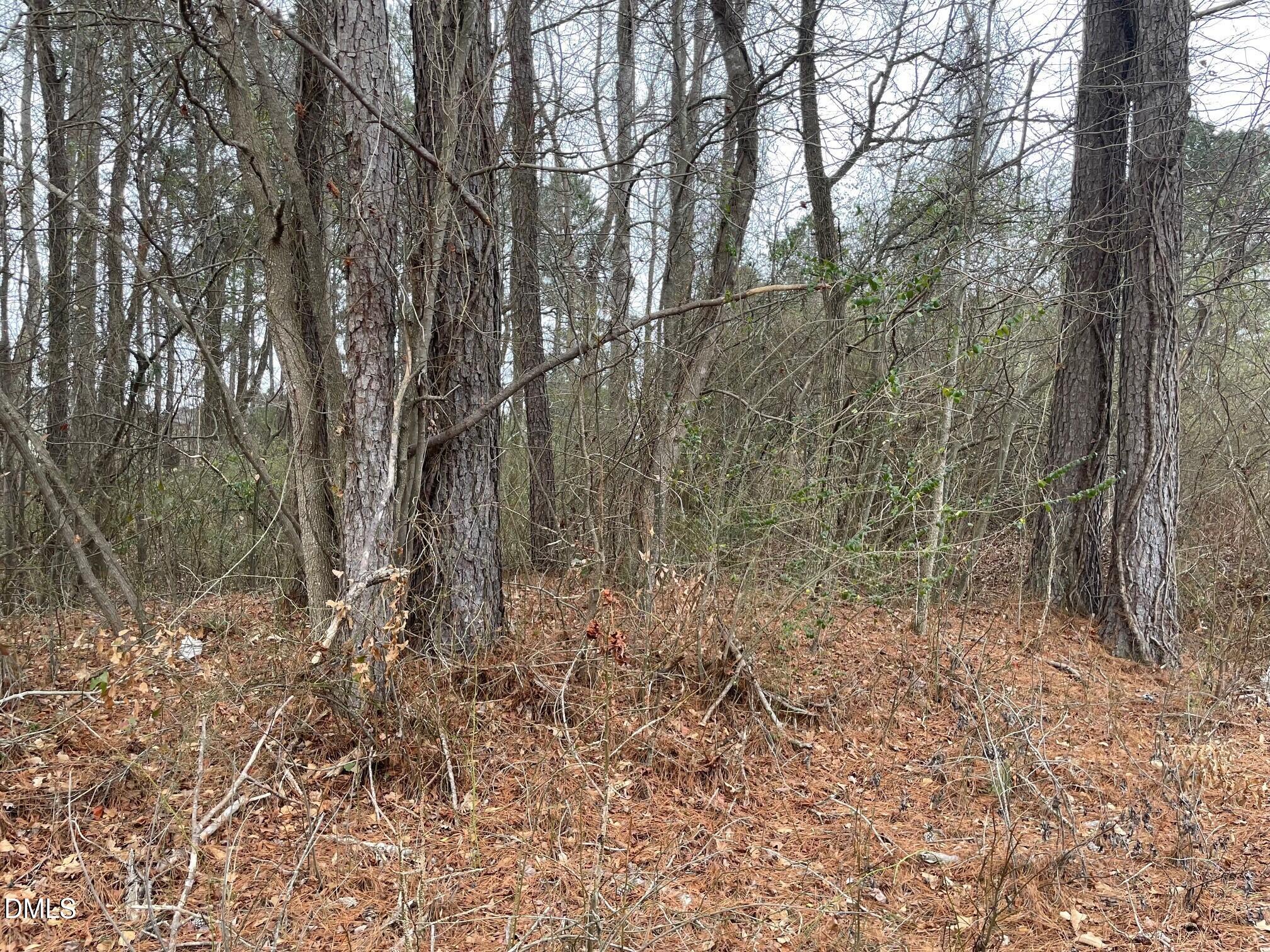 70 Wilson Property Photo 2