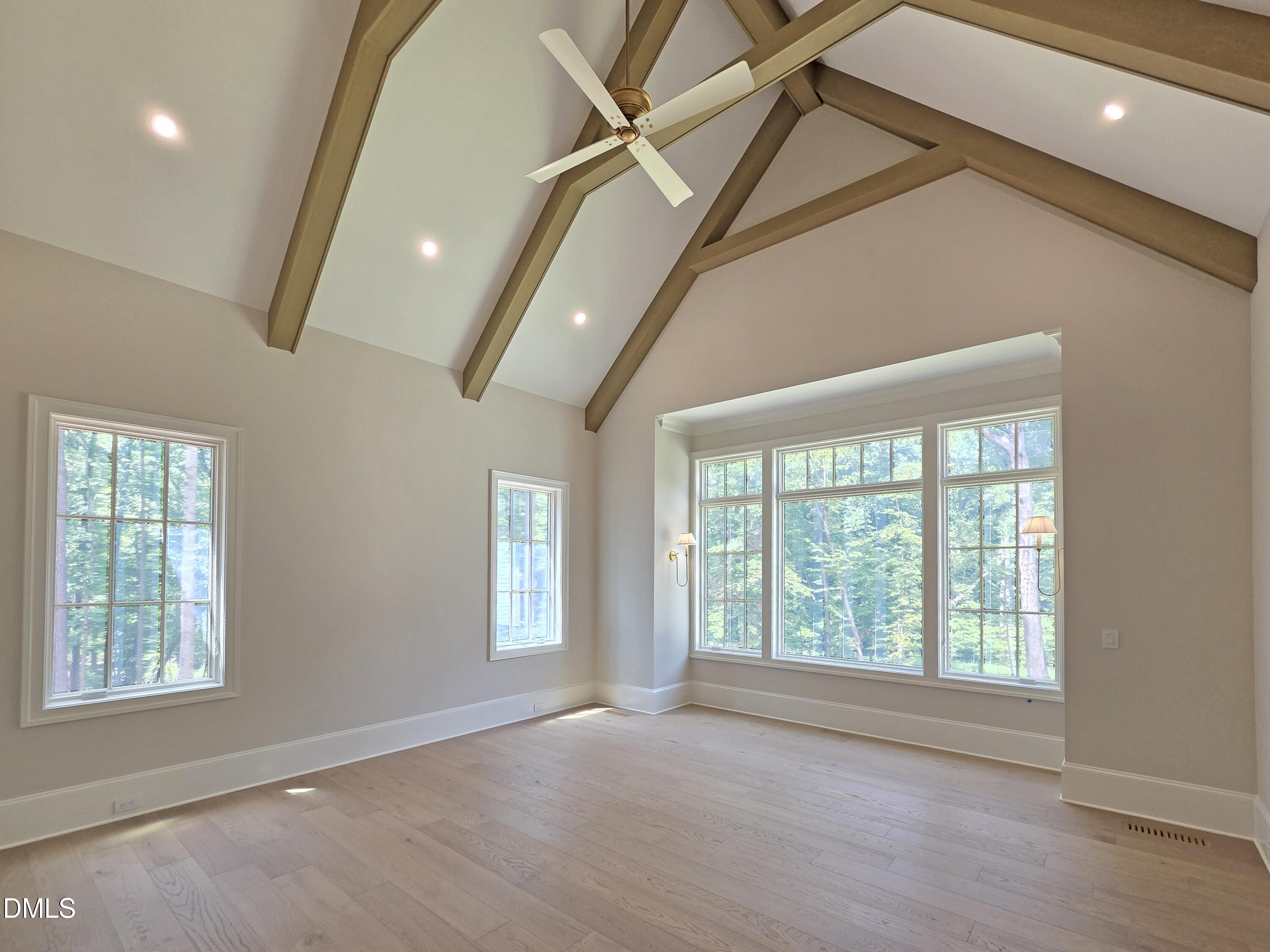 6477 Sanctuary Falls Drive Property Photo 17