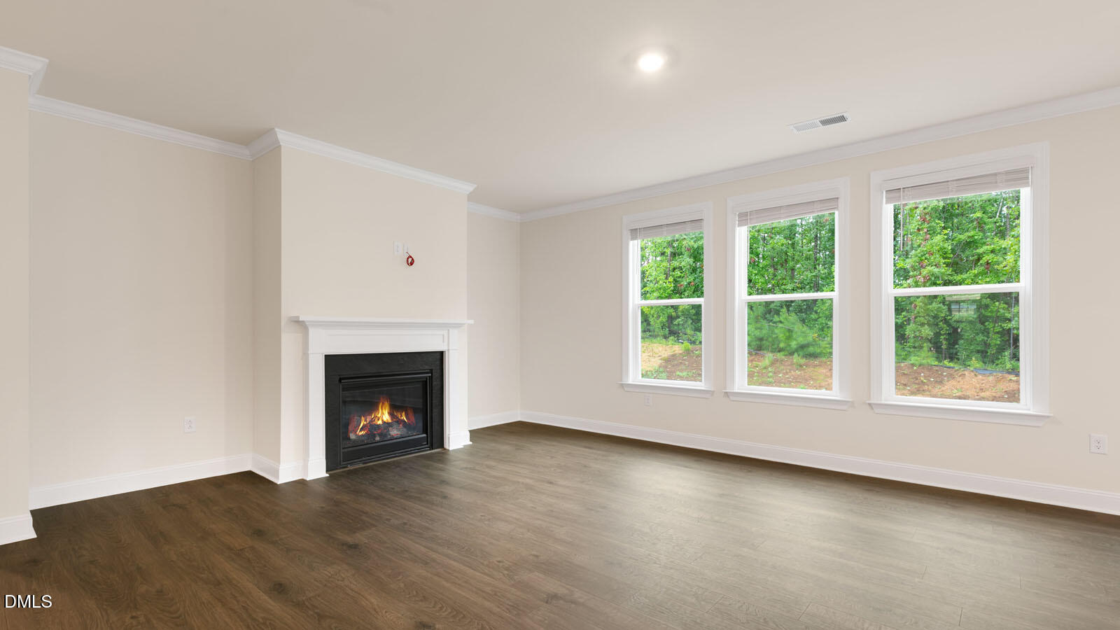 30 East Fire Opal Court Property Photo 11