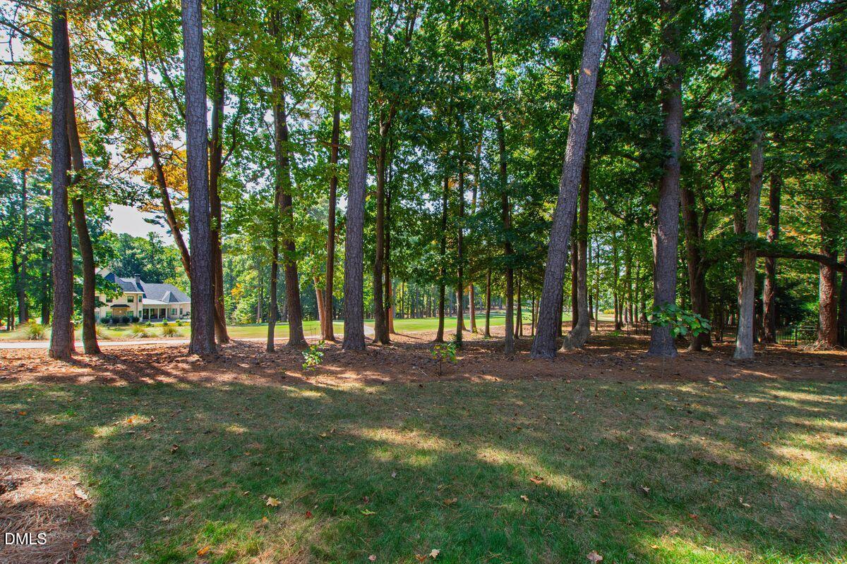 302 Annandale Drive Property Photo 89