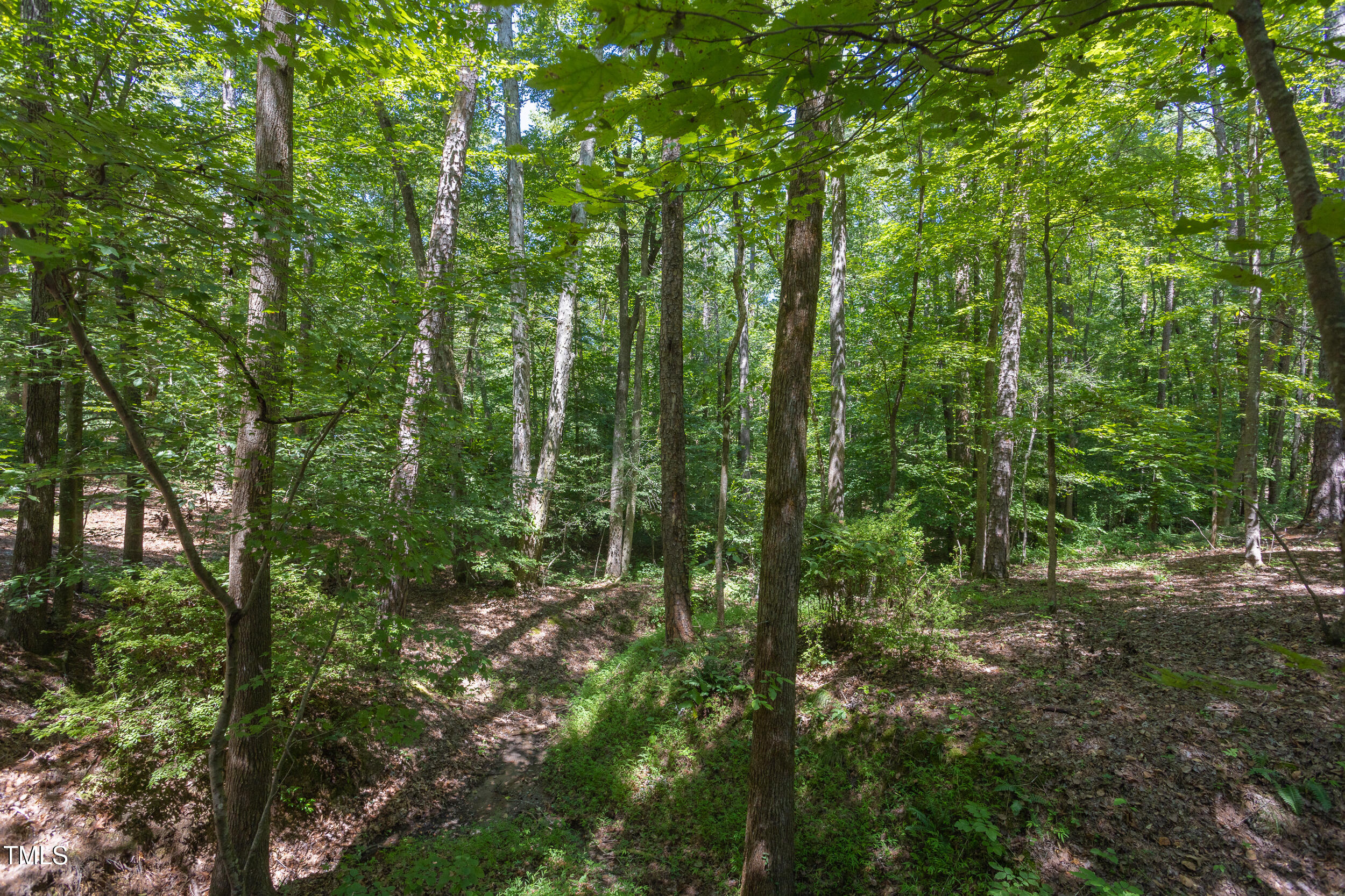 4515 Chicopee Trail