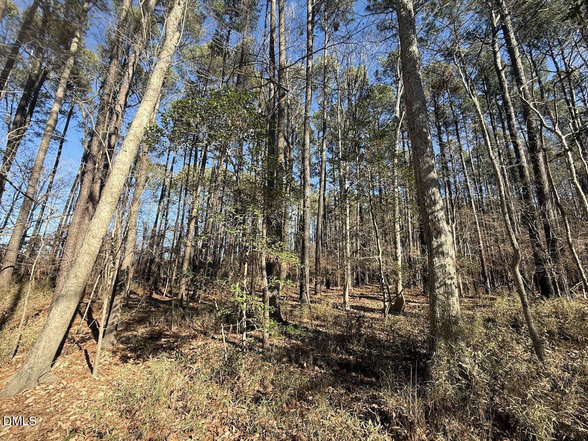 1012 S Halifax Road Property Photo 11