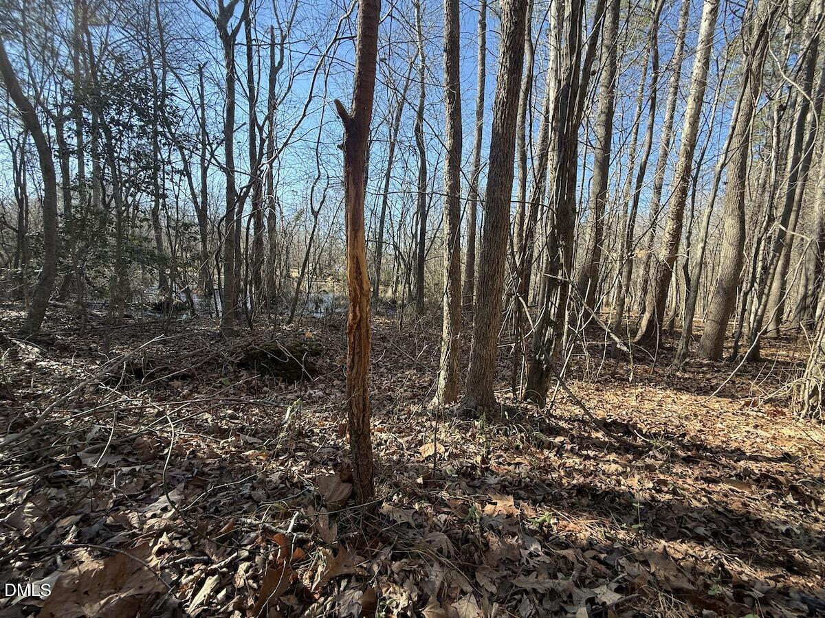 1012 S Halifax Road Property Photo 12