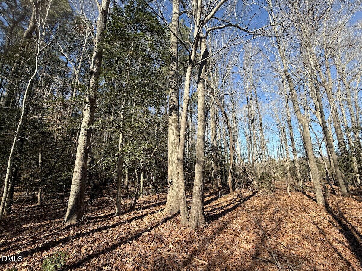1012 S Halifax Road Property Photo 16