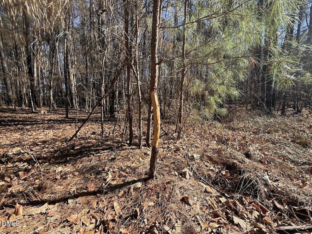 1012 S Halifax Road Property Photo 21