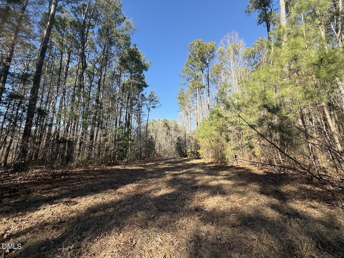 1012 S Halifax Road Property Photo 25