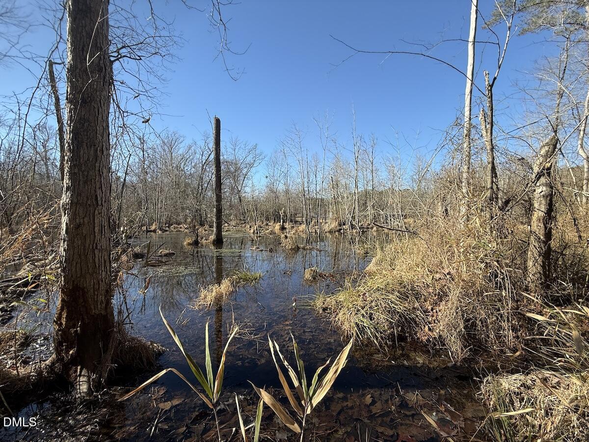 1012 S Halifax Road Property Photo 28
