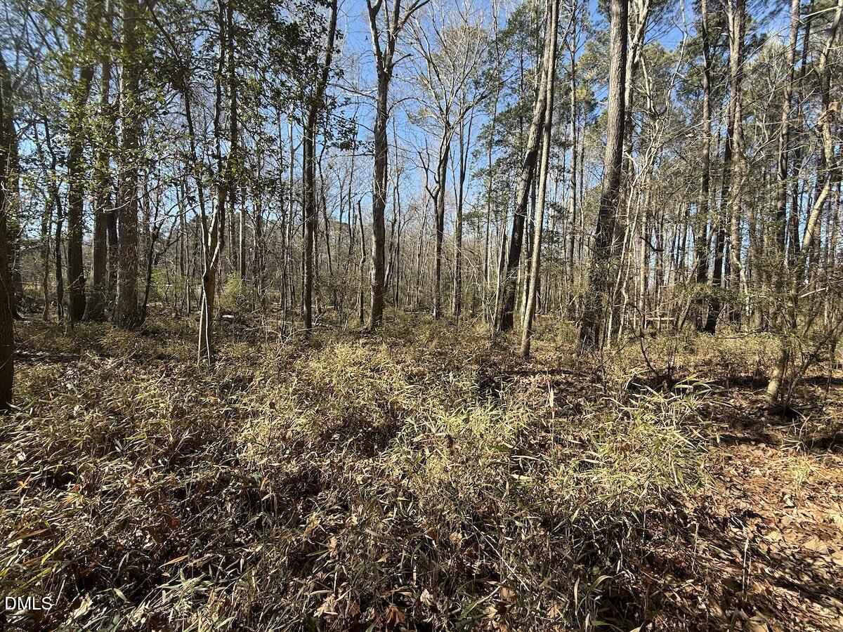 1012 S Halifax Road Property Photo 33