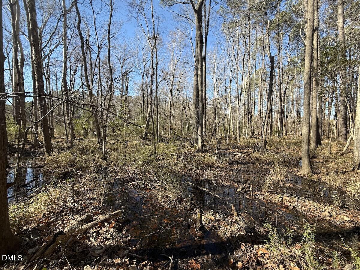 1012 S Halifax Road Property Photo 35