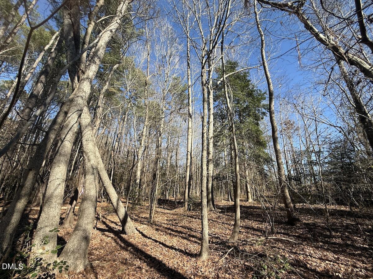 1012 S Halifax Road Property Photo 36