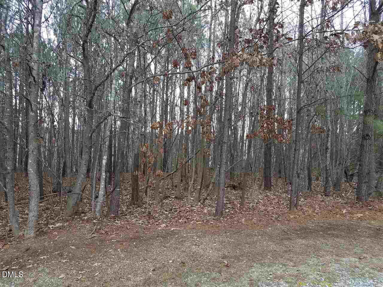 2908 Satori Way Property Photo 1