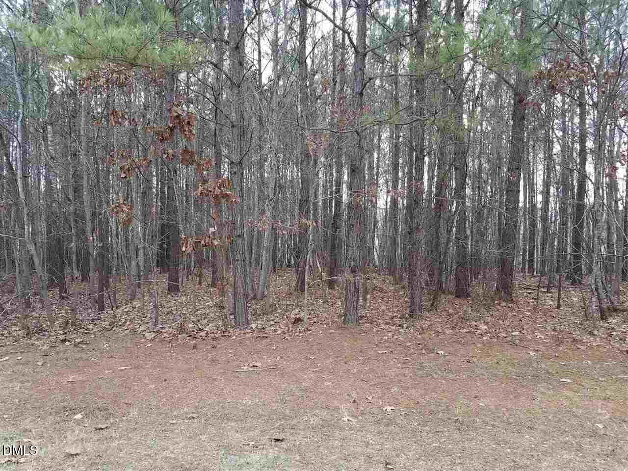 2908 Satori Way Property Photo 5