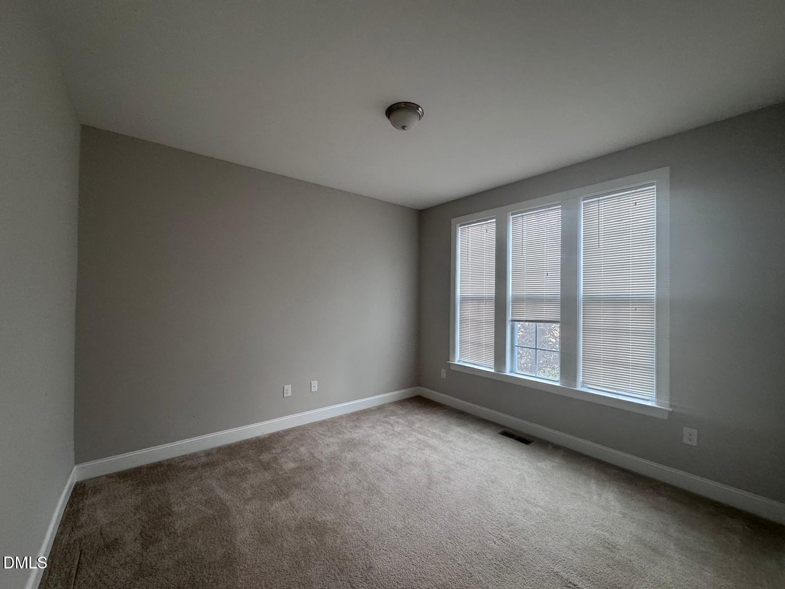 2797 Riley's Pond Drive Property Photo 22