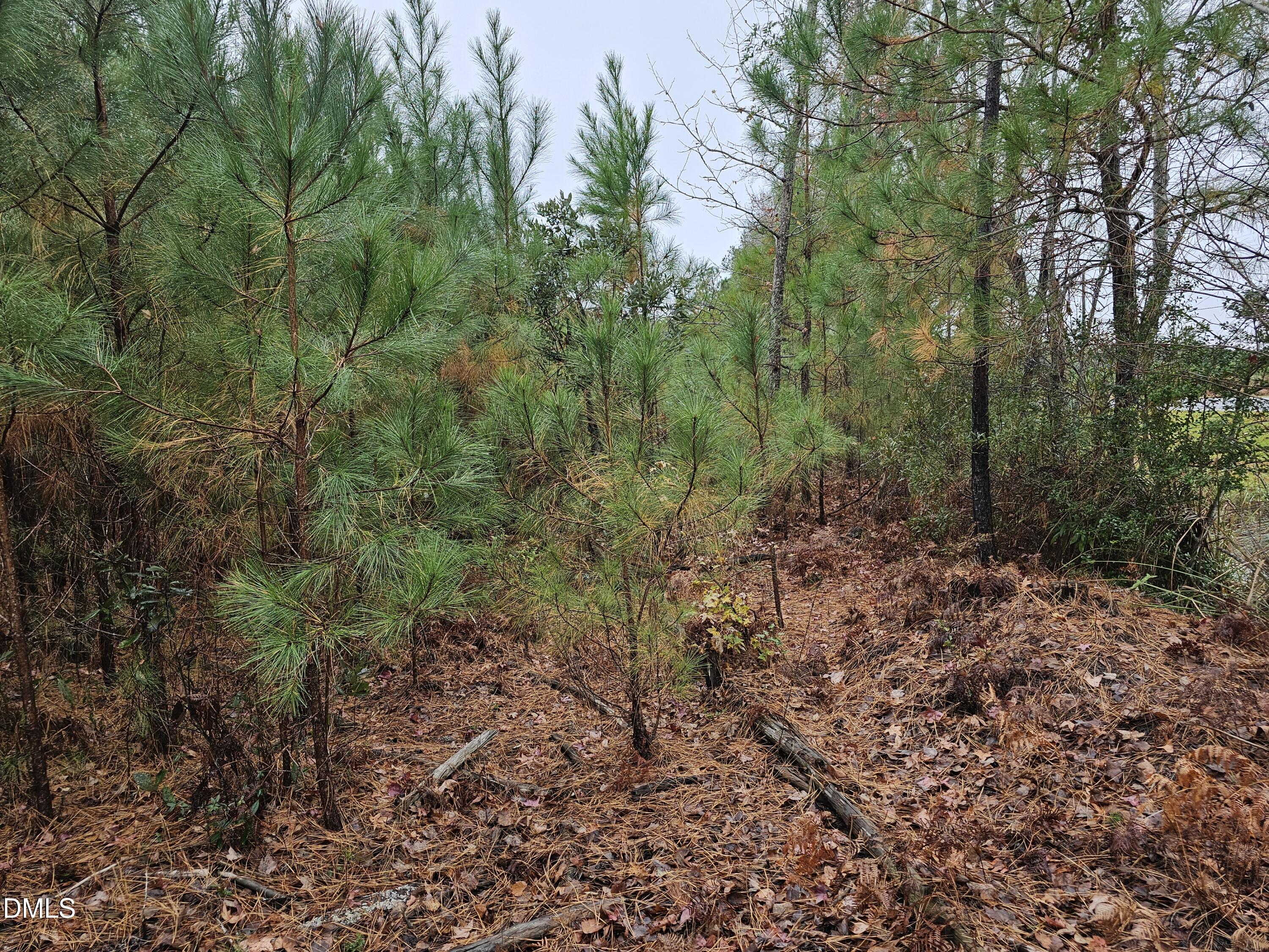 00 N Nc 304 Property Photo 7