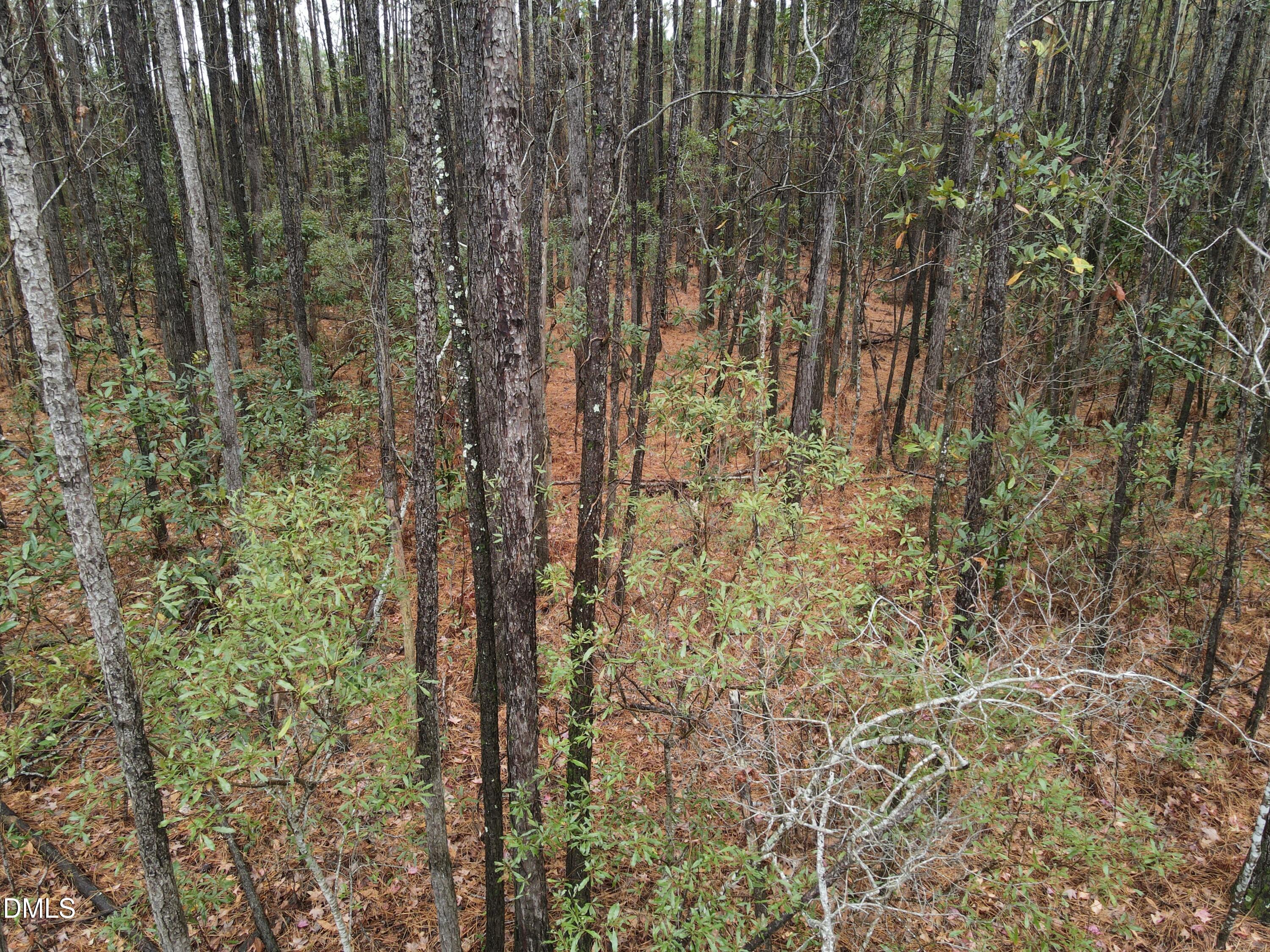 00 N Nc 304 Property Photo 17