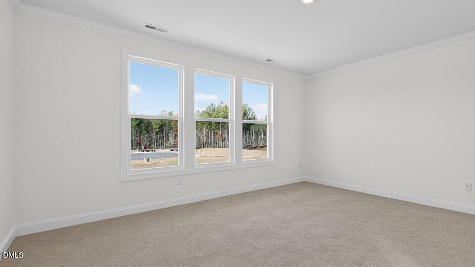 2344 Horton Park Drive Property Photo 17