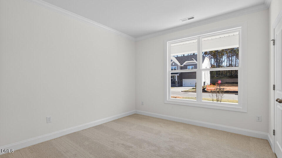2344 Horton Park Drive Property Photo 26