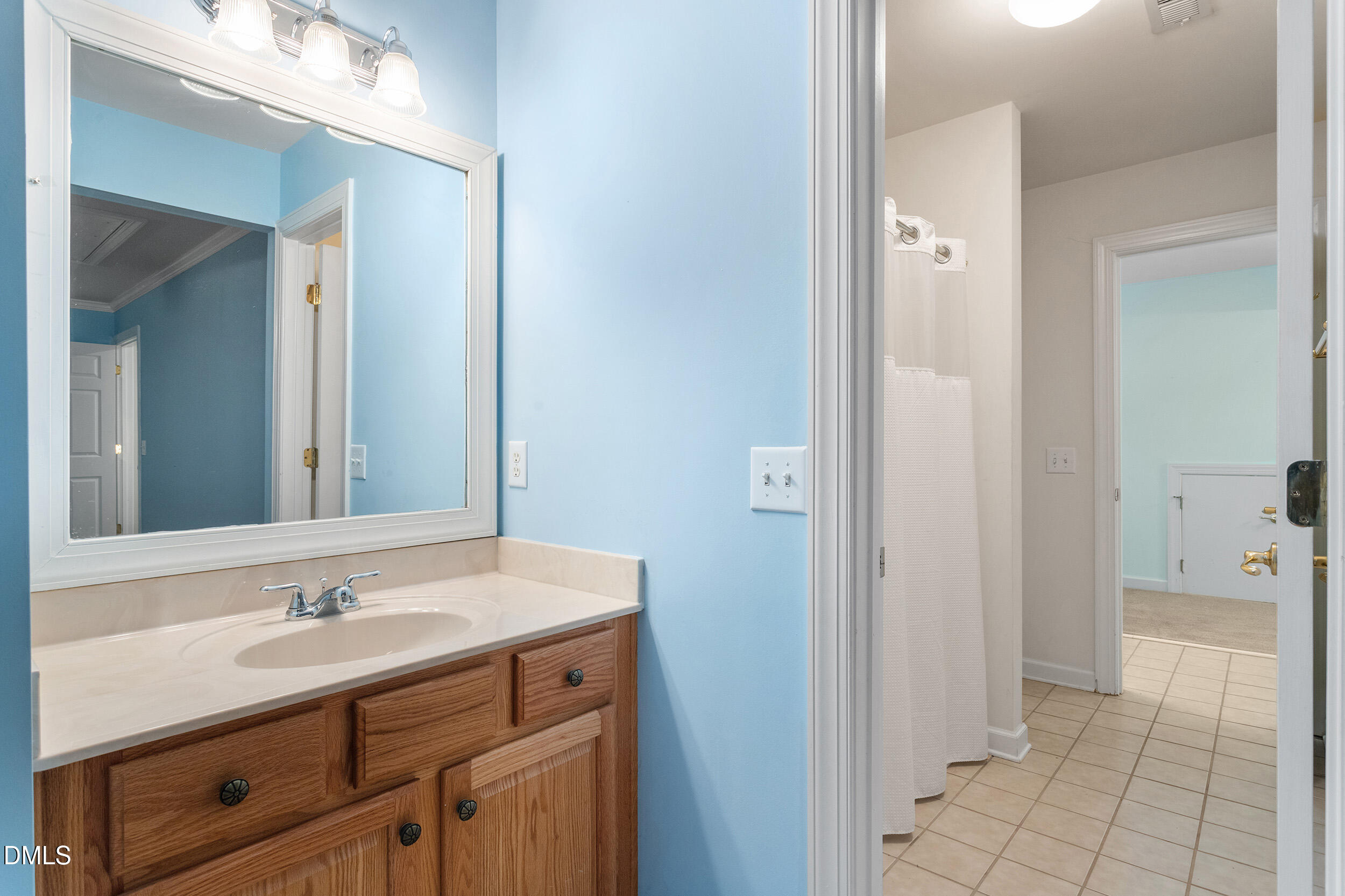 4724 Ludwell Branch Court Property Photo 44