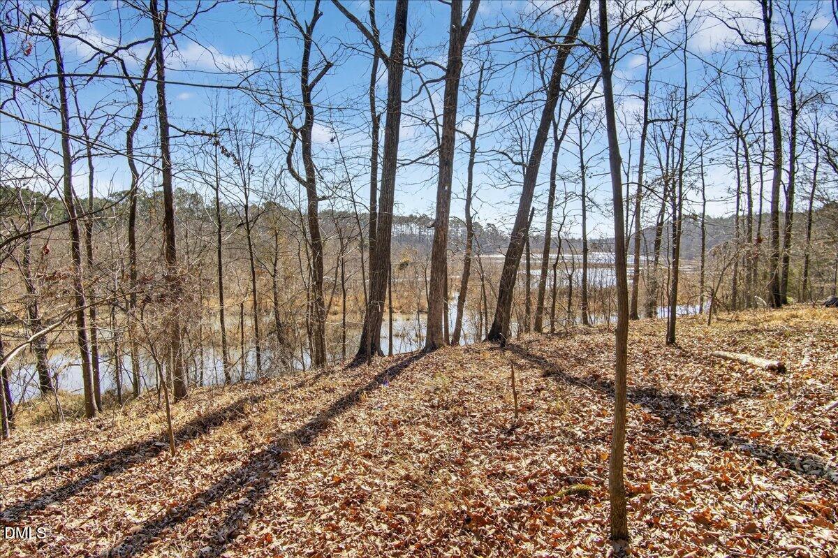 0 Globe Road Property Photo 1