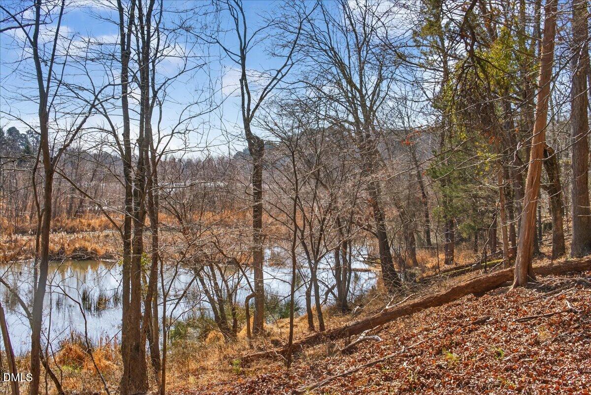 0 Globe Road Property Photo 2