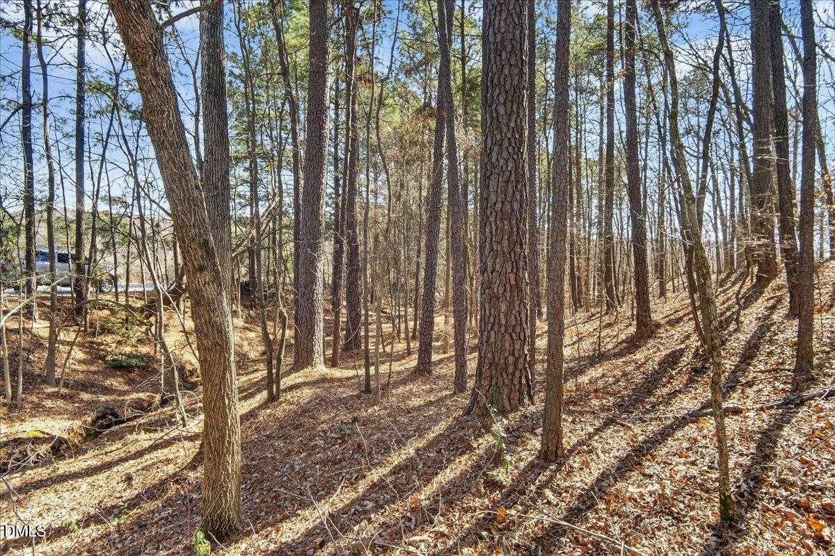 0 Globe Road Property Photo 5