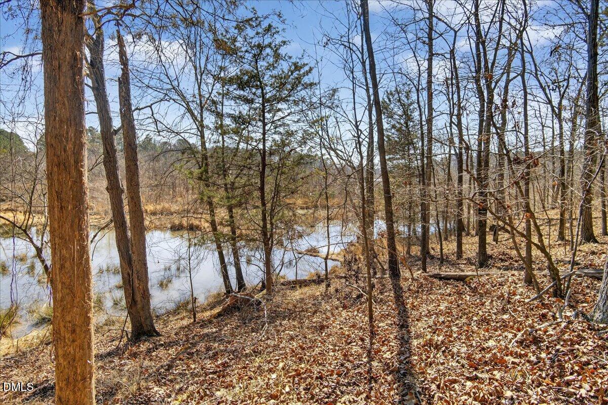 0 Globe Road Property Photo 8