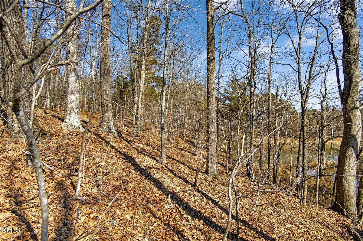 0 Globe Road Property Photo 10