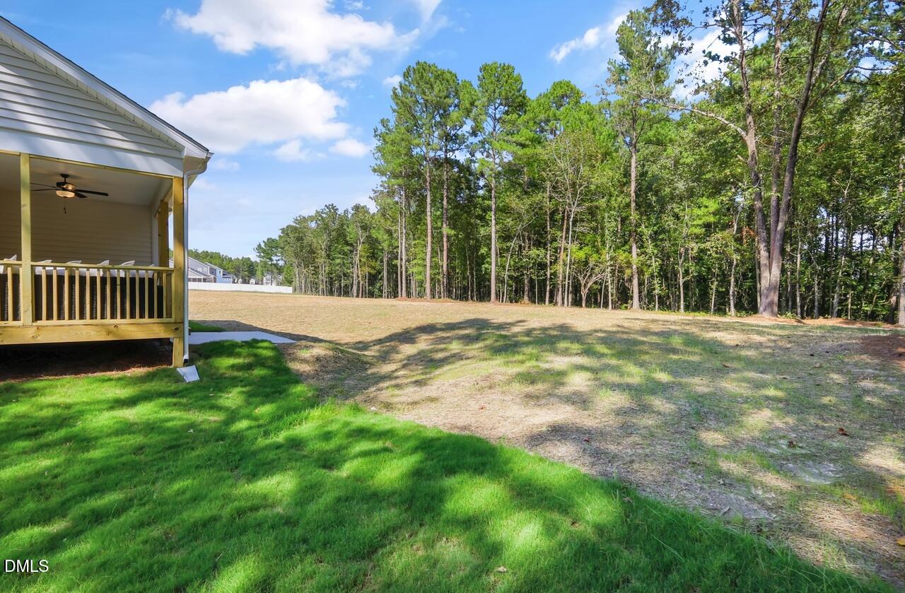 145 Bluestone Drive Property Photo 47