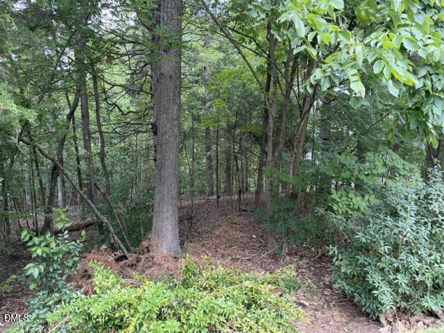 102 Jolyn Place Property Photo 1