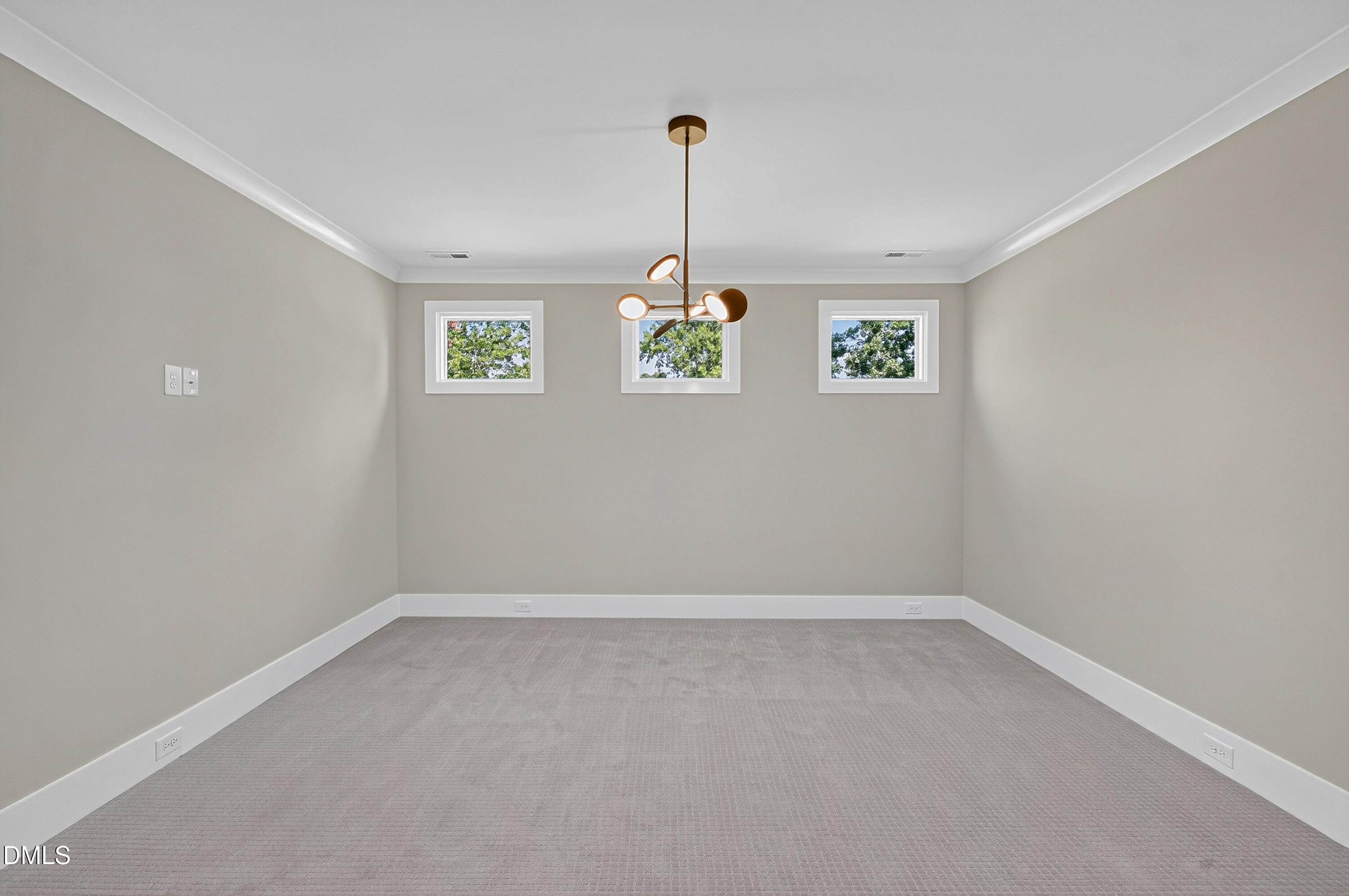 221 Dublin Road Property Photo 45