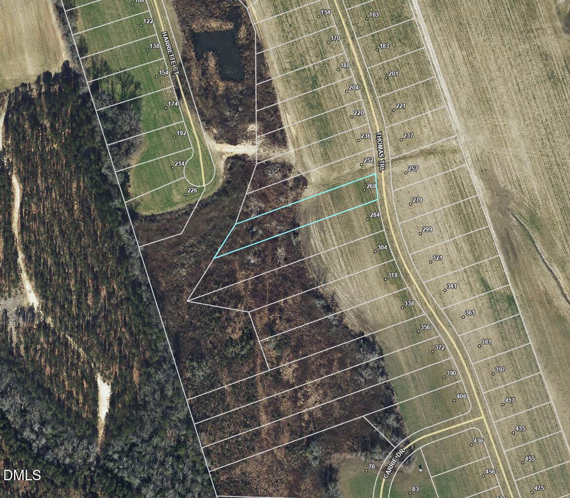 268 Thomas Trail Property Photo 14