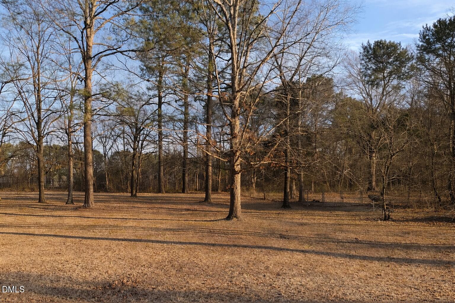 Lot 4 Will Suitt Road Property Photo 1