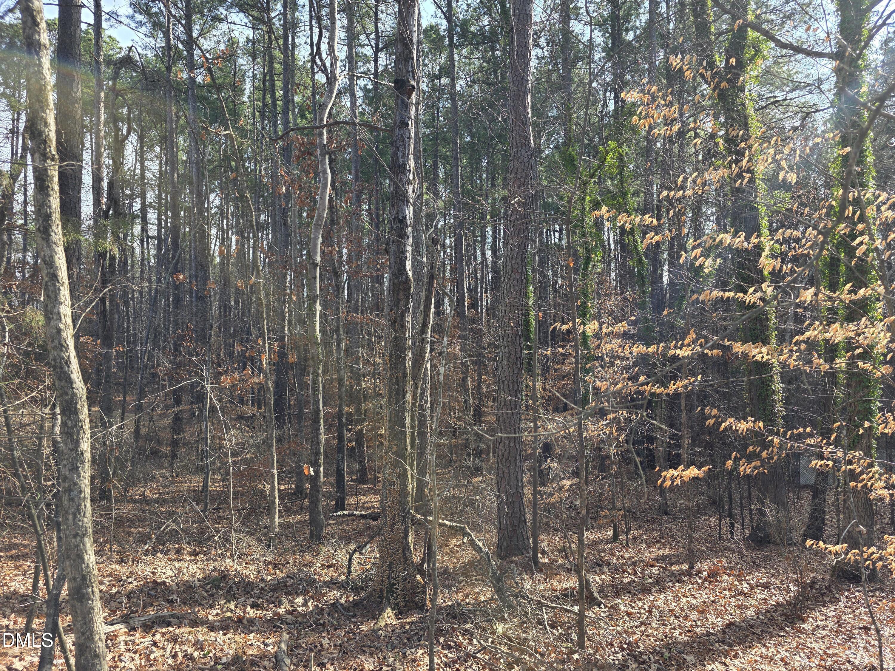 906 Ardmore Drive Property Photo 1