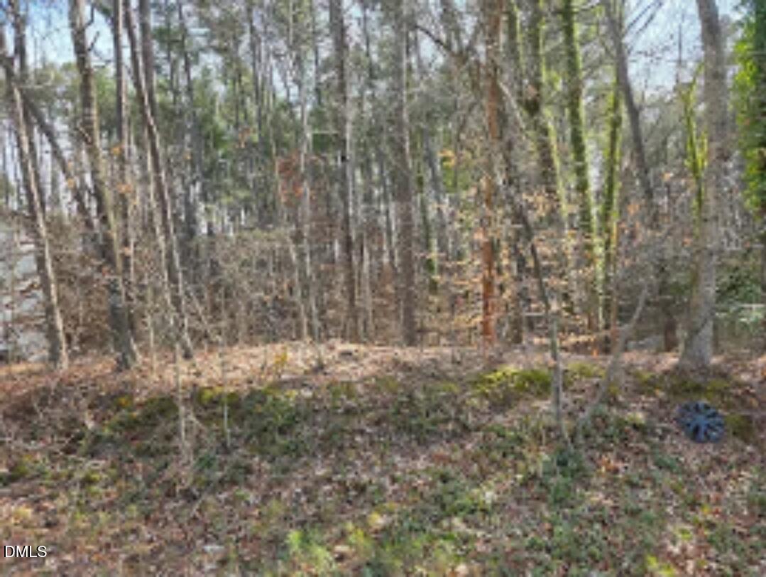 906 Ardmore Drive Property Photo 2