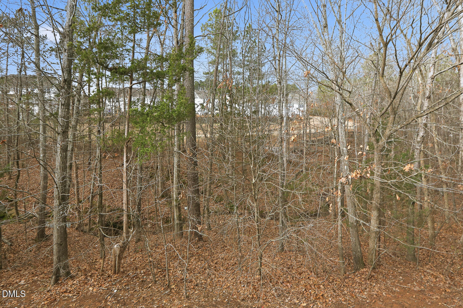 2245 Mayo Forest Lane Property Photo 44