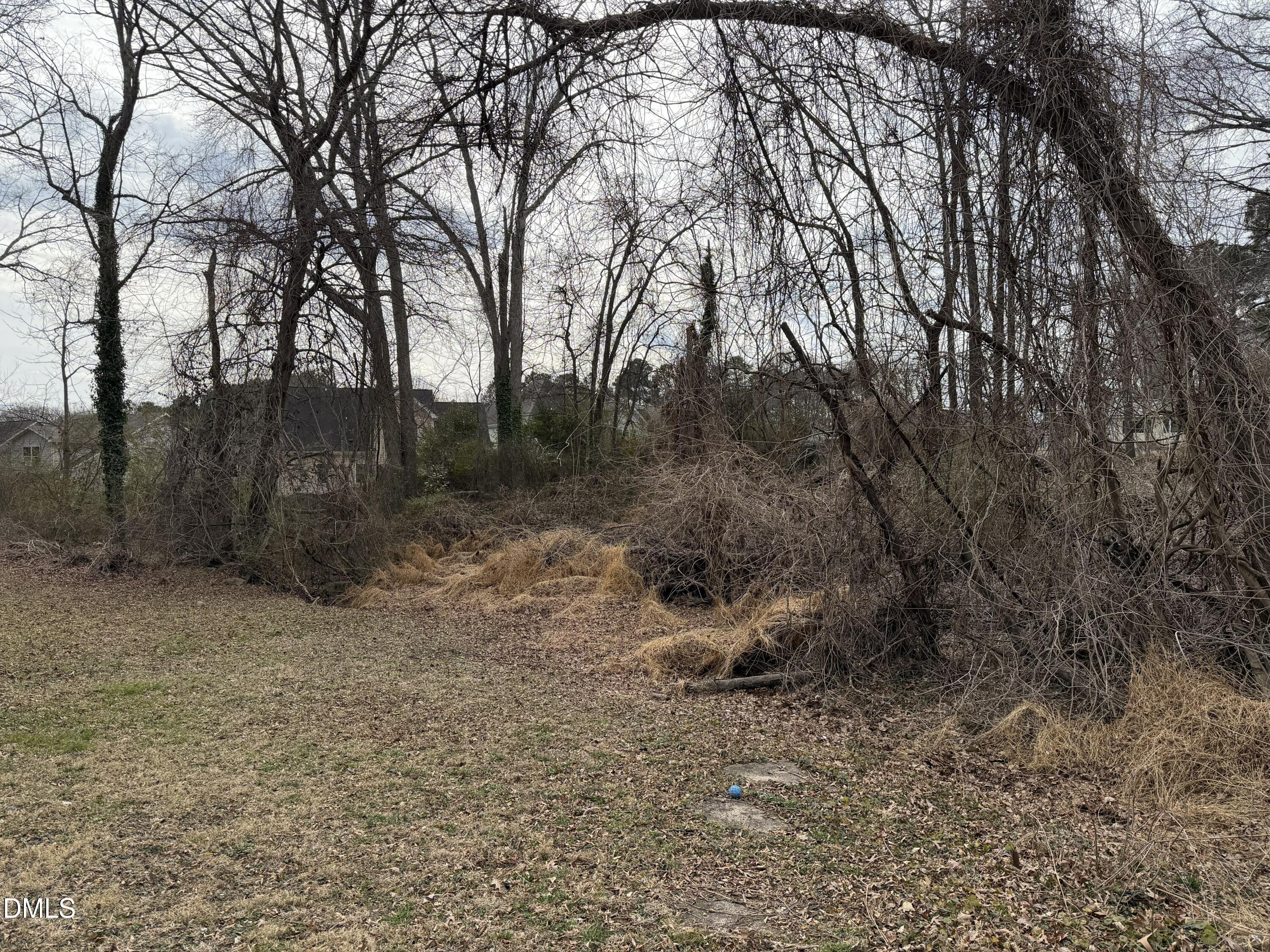 1513 Cole Mill Road Property Photo 9