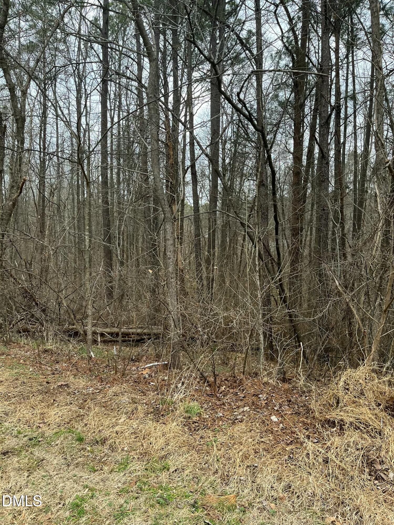 89 Lot Haynoke Drive Property Photo 1