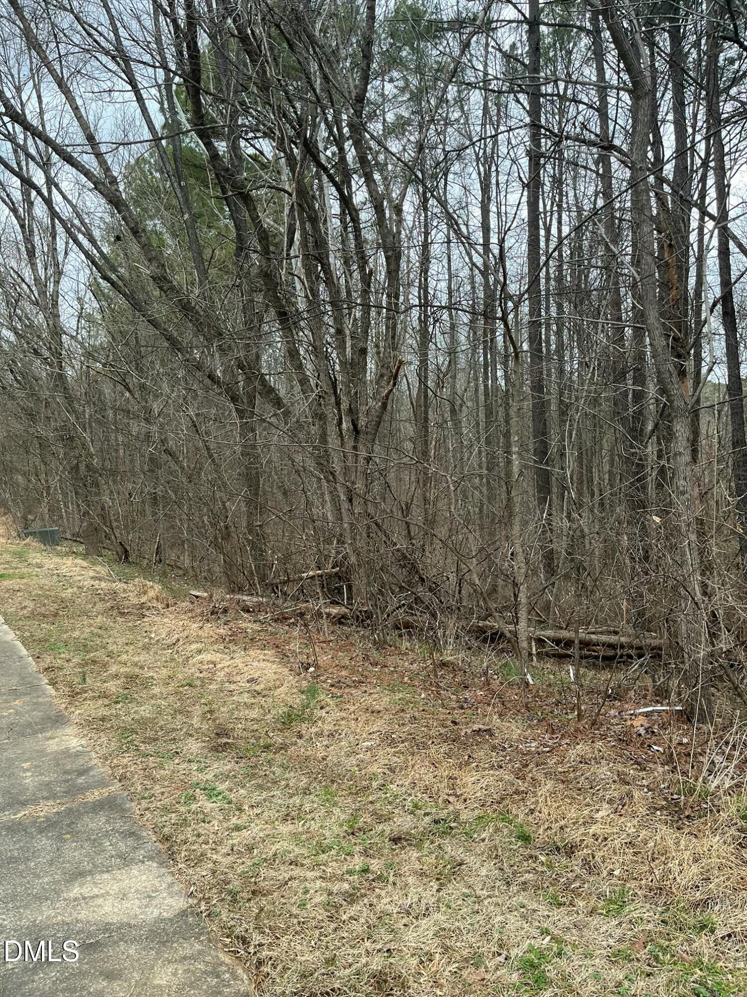 91 Lot Haynoke Drive Property Photo 2