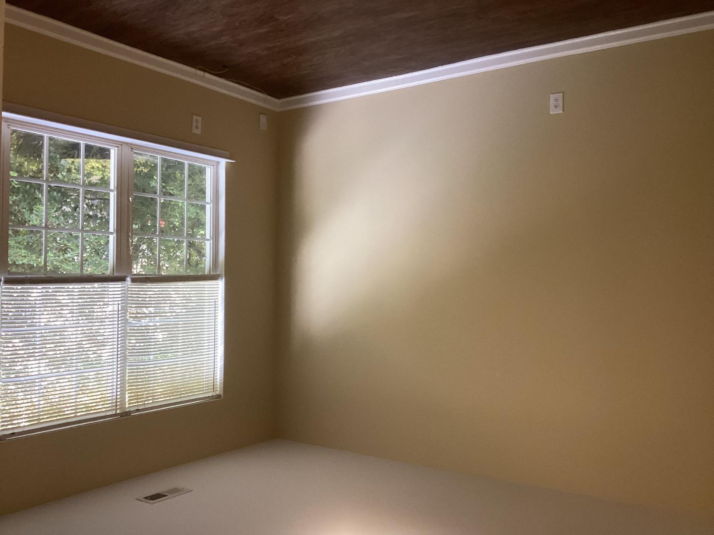 4121 Standing Rock Way Property Photo 2