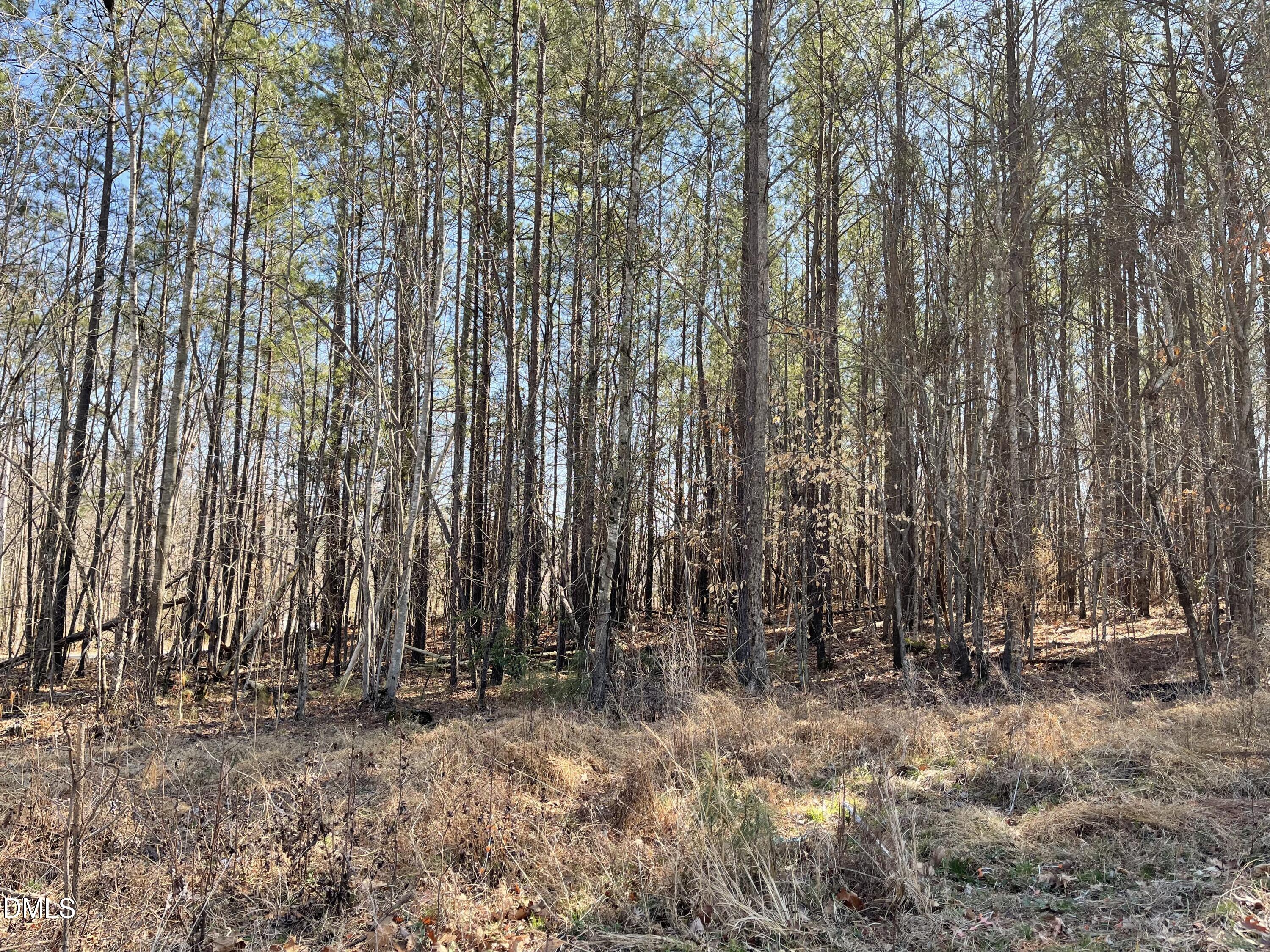 800 Olive Branch Road Property Photo 2