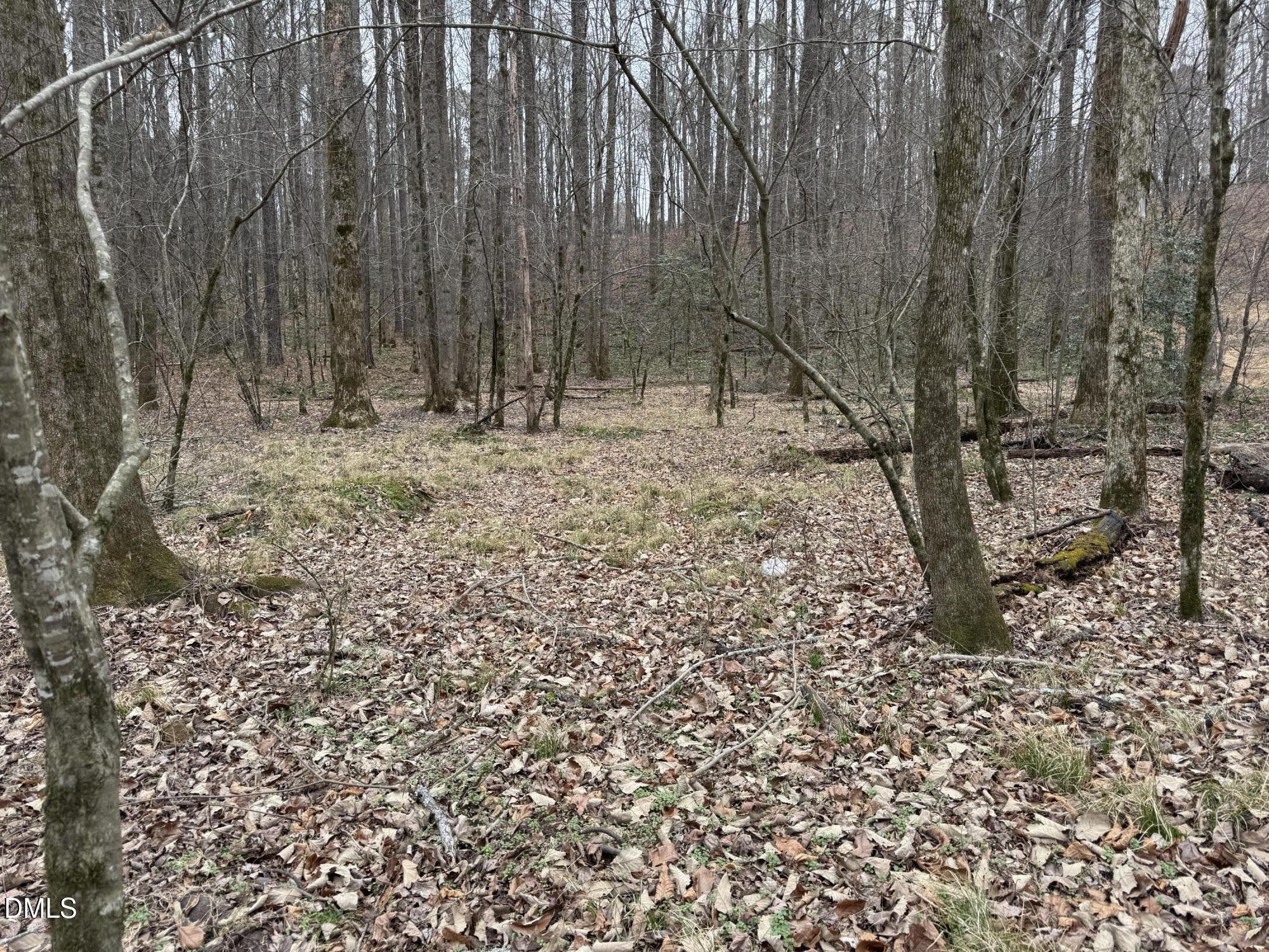 0 Eatmon Road Property Photo 29