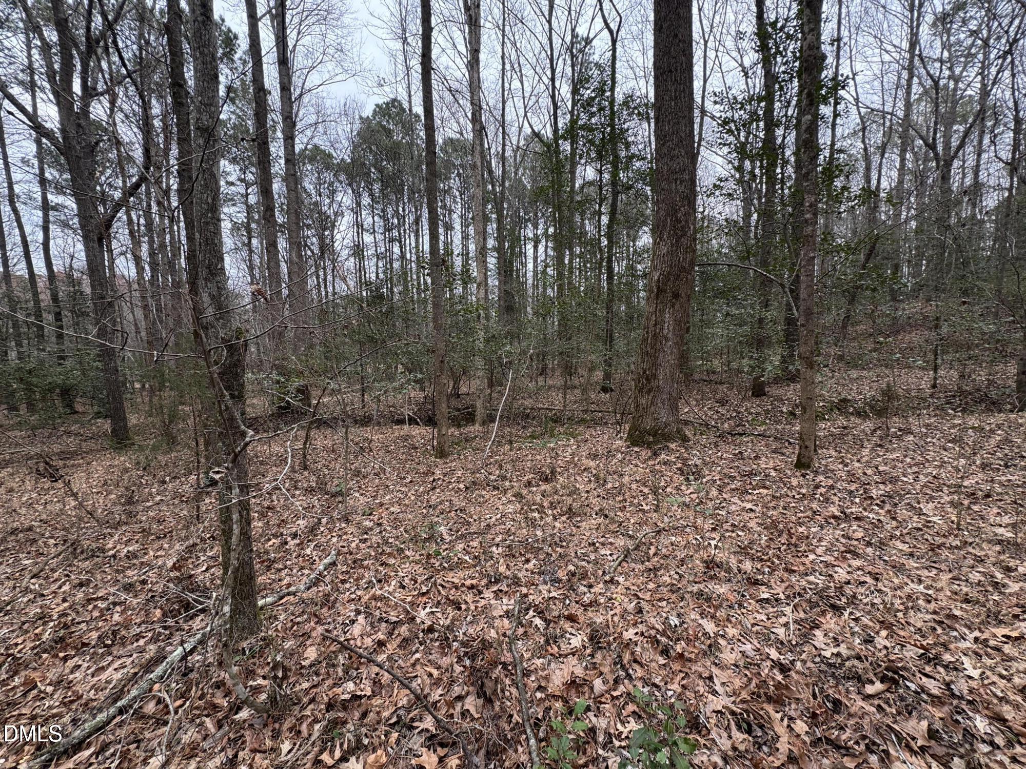 0 Eatmon Road Property Photo 54
